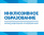Международная конференция «Инклюзивное образование: непрерывность и преемственность»