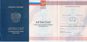 В Омской области 200 выпускников не получили аттестаты