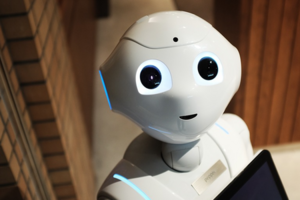 В финской школе учителями будут работать роботы
