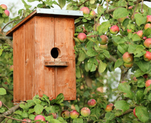 Снова школьная программа и как жить дальше