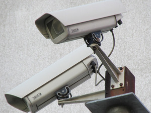 Камеры заменят общественных наблюдателей на ЕГЭ