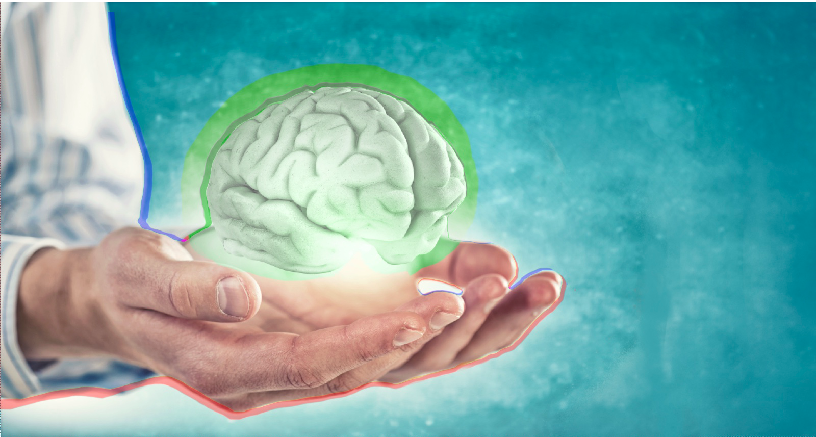 10 фактов о том, как работает мозг во время обучения