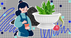 Огород на подоконнике: какие овощи и зелень можно вырастить дома за месяц
