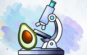 Что такое доказательная нутрициология