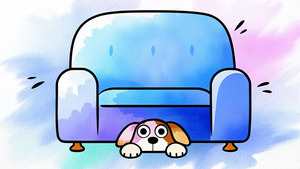 Тревожная собака: что с ней происходит и чем может помочь человек